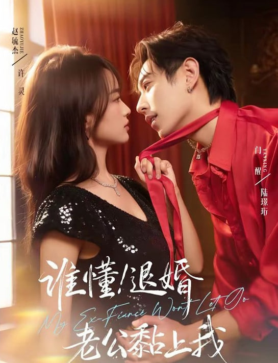 天赐的声音4